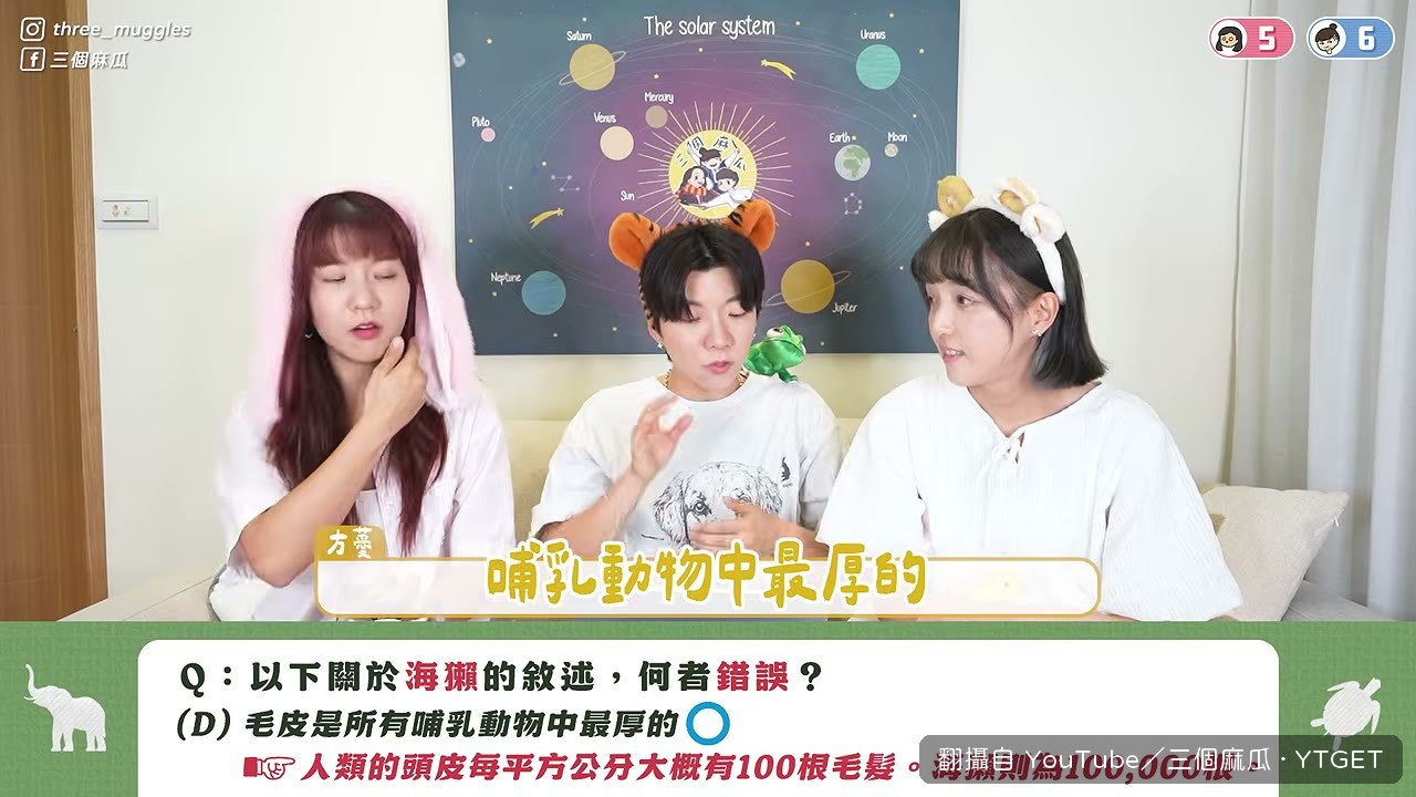 海獺皮毛密度是哺乳類之冠