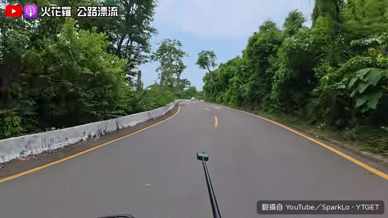 柴山路段實測，四缸聲浪吸引猴子圍觀