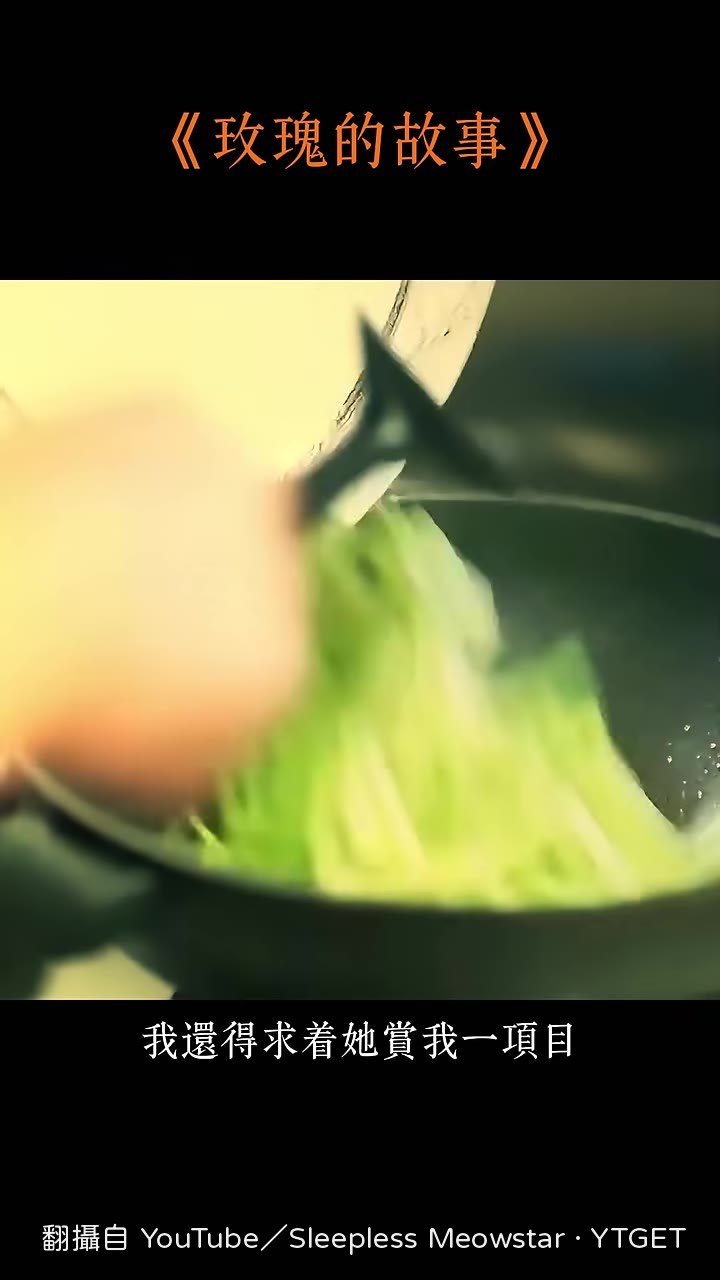 蘇更生點破關芝芝的成功