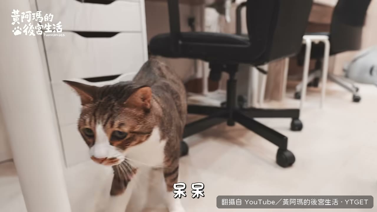 爹爹吃藥表情猙獰