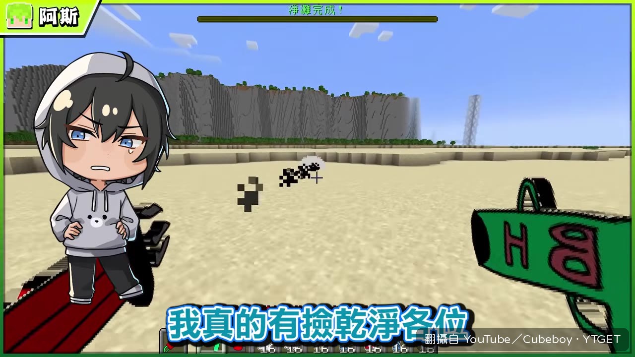 沙灘終於清乾淨,動物回來了
