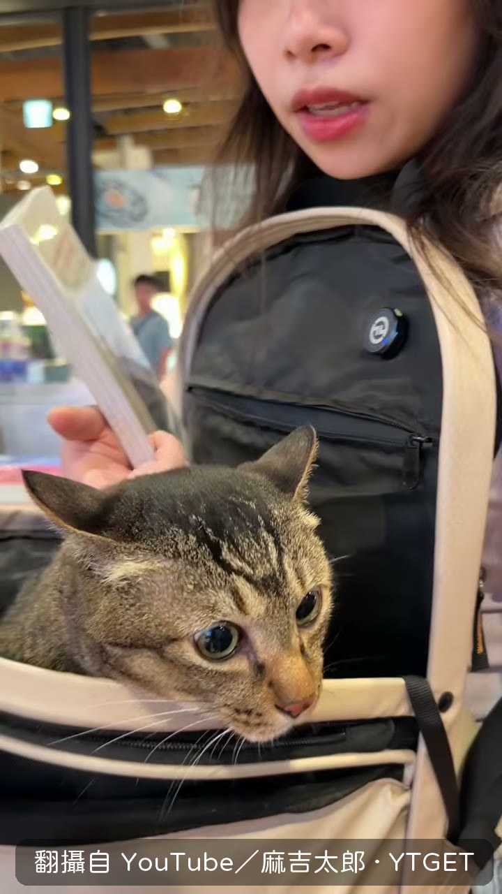 麻吉哥在書店裡東看西看
