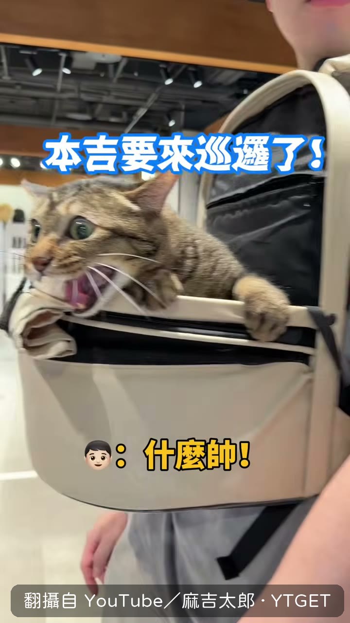 麻吉哥被稱讚很帥