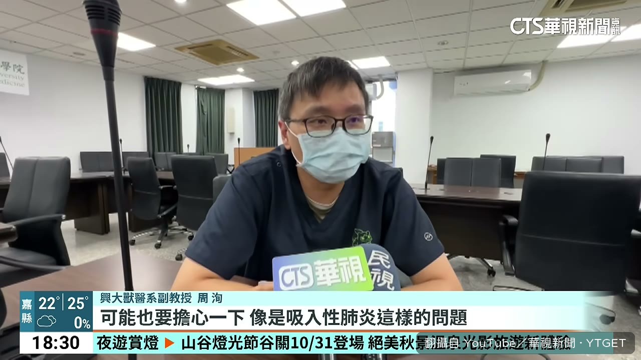 獸醫說明陸龜不會游泳