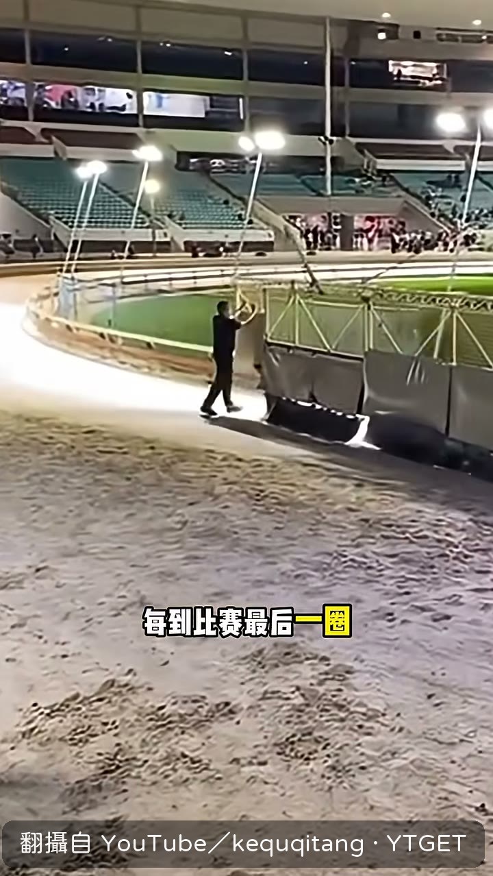 關鍵任務是及時攔下所有賽犬