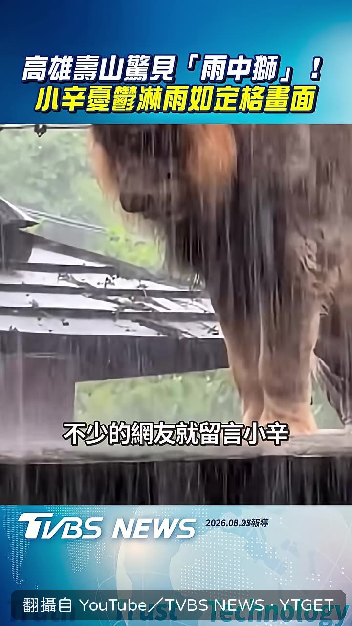 網友猜小辛是不是有心事