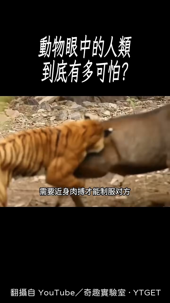 人類在幾十公尺外就能投擲攻擊