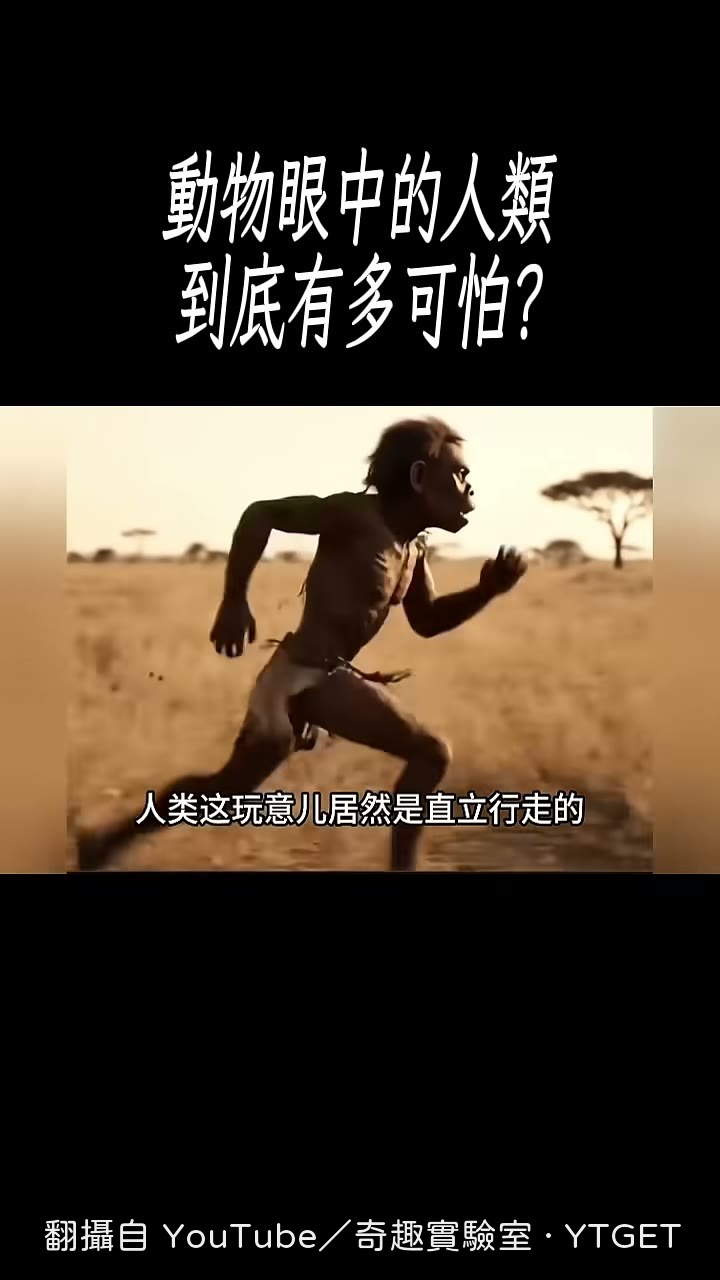 人類站起來的瞬間在動物眼中變得巨大