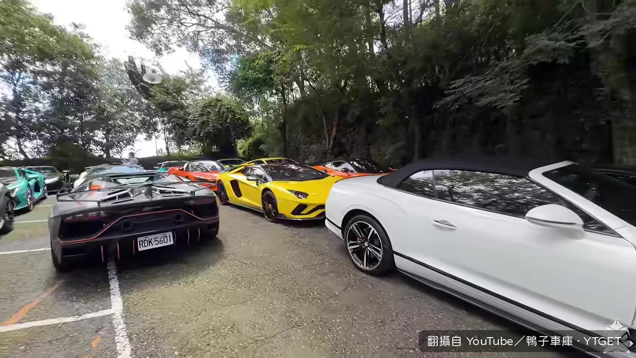 滿場限量牛，鴨子看到傻眼