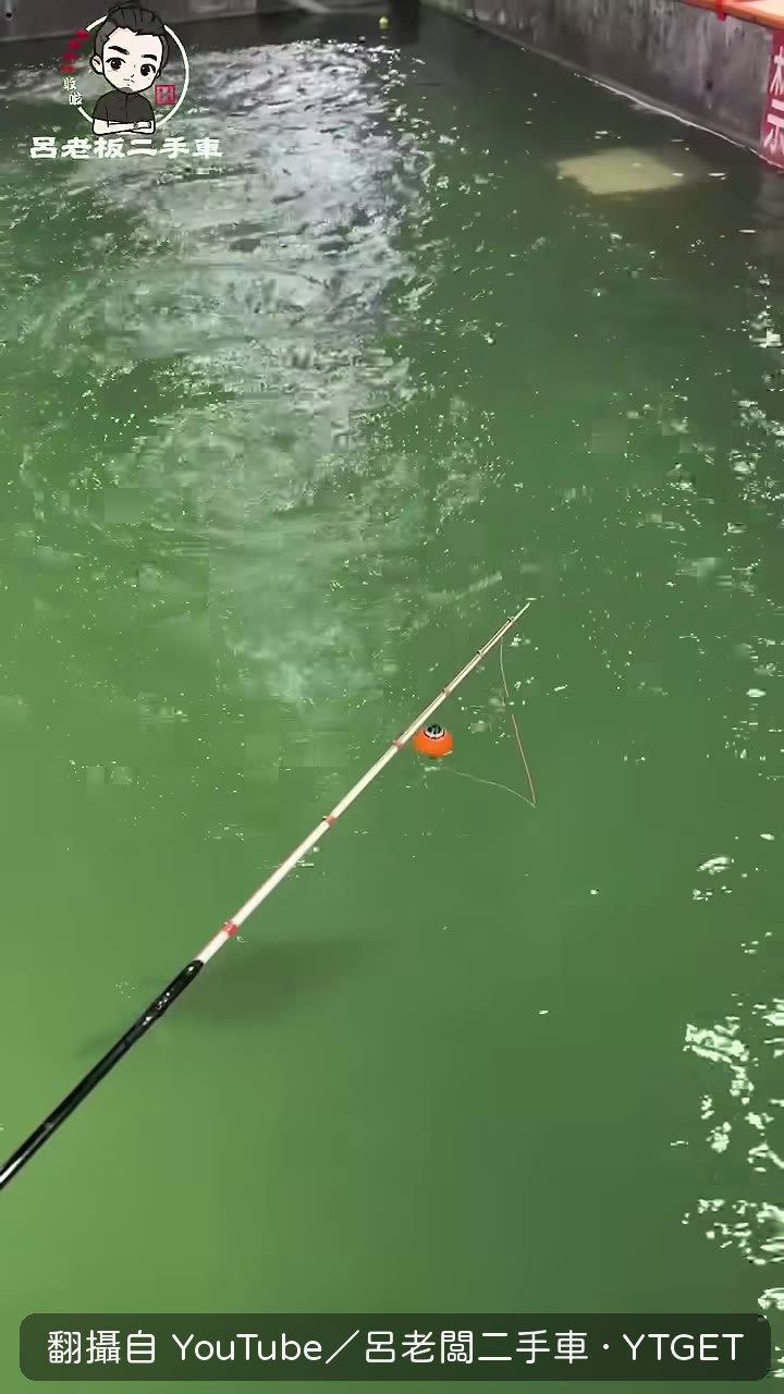 魚只吃一口就閃