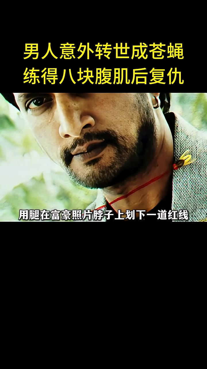 蒼蠅用腿沾眼淚寫字