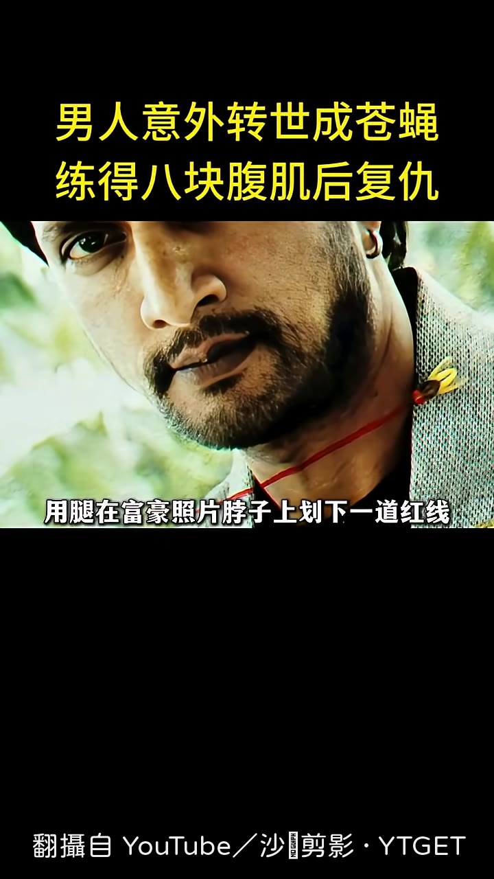 蒼蠅用腿沾眼淚寫字