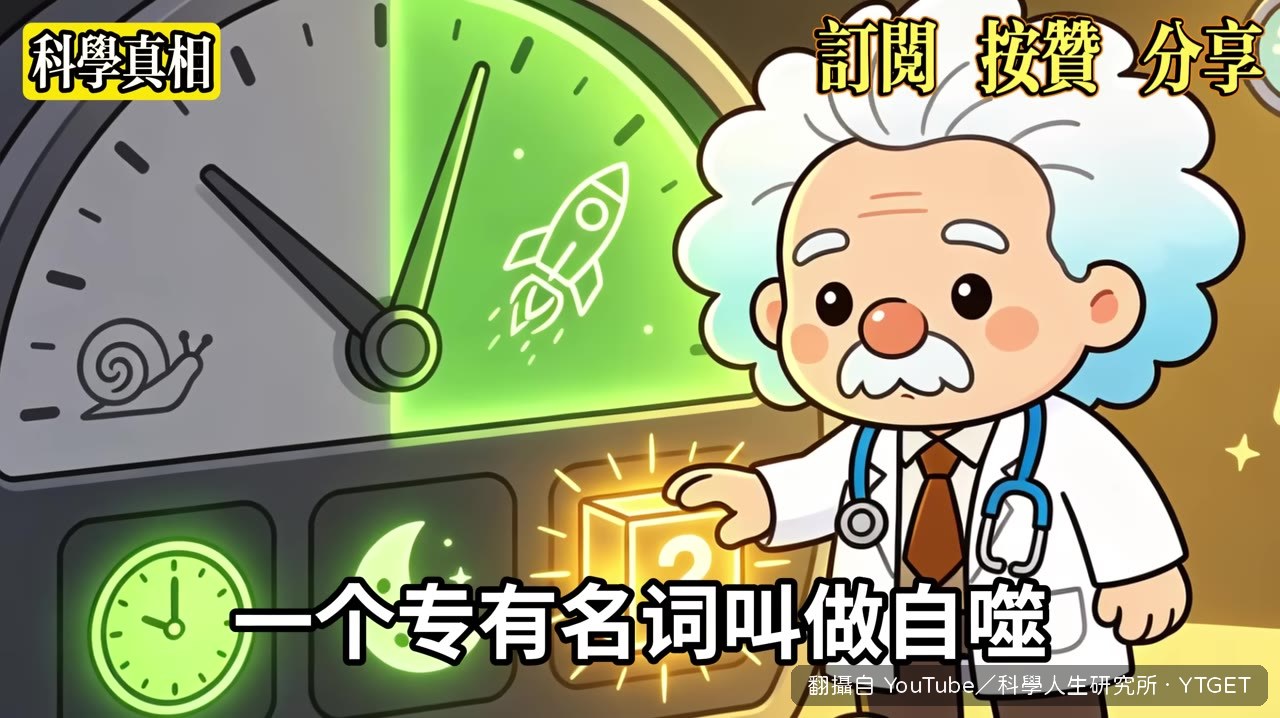 細胞自噬機制示意圖