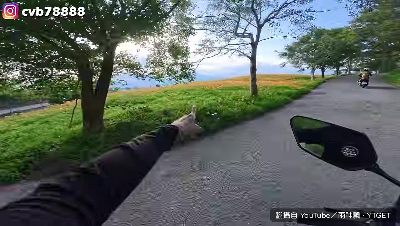 耶穌光灑落金針花海