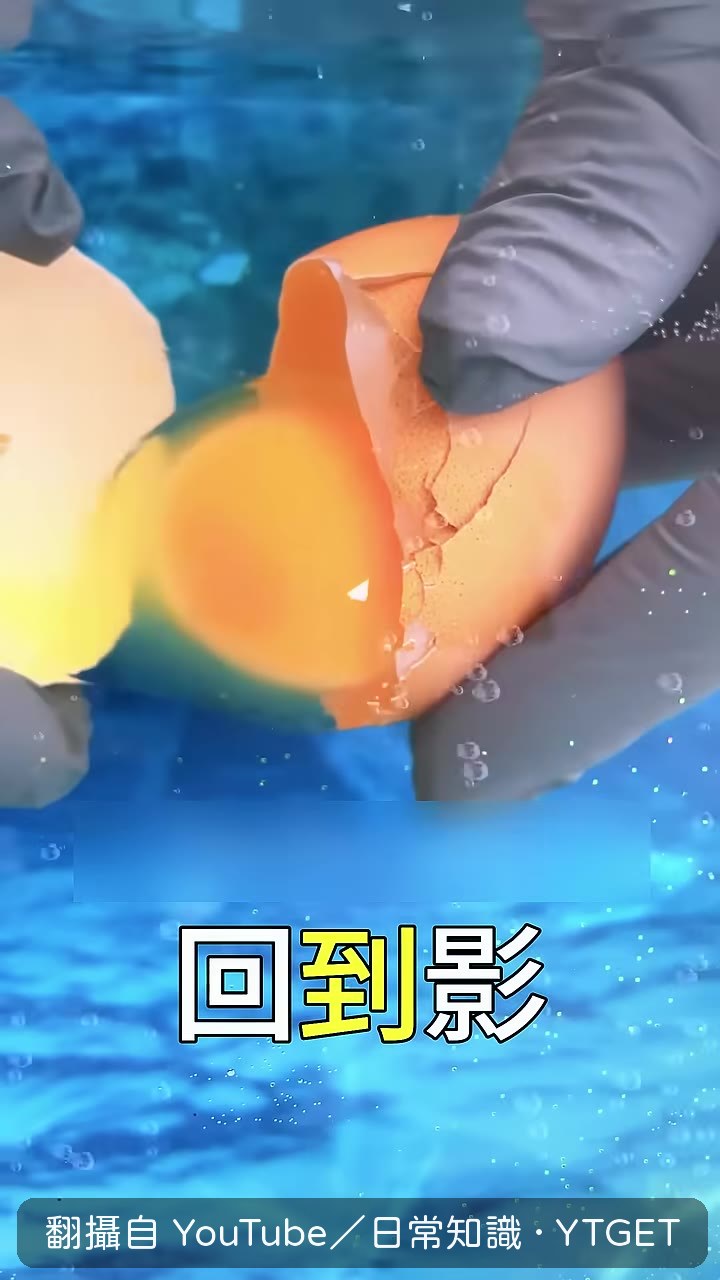 雞蛋破掉的瞬間