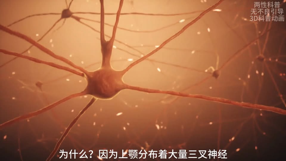 舌尖劃過上顎的接吻技巧，30秒學會親吻敏感開關
