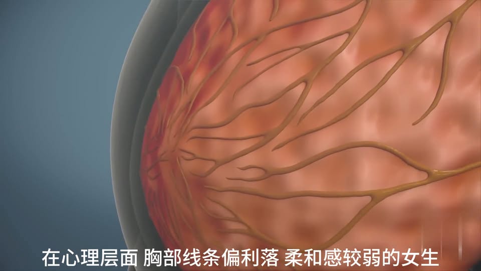 從心理與生理科學解析「胸小脾氣大」說法