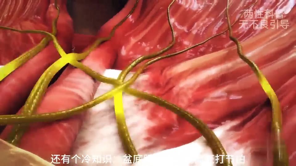 聽懂女生喊停是身體警報，放緩節奏比硬撐更有效