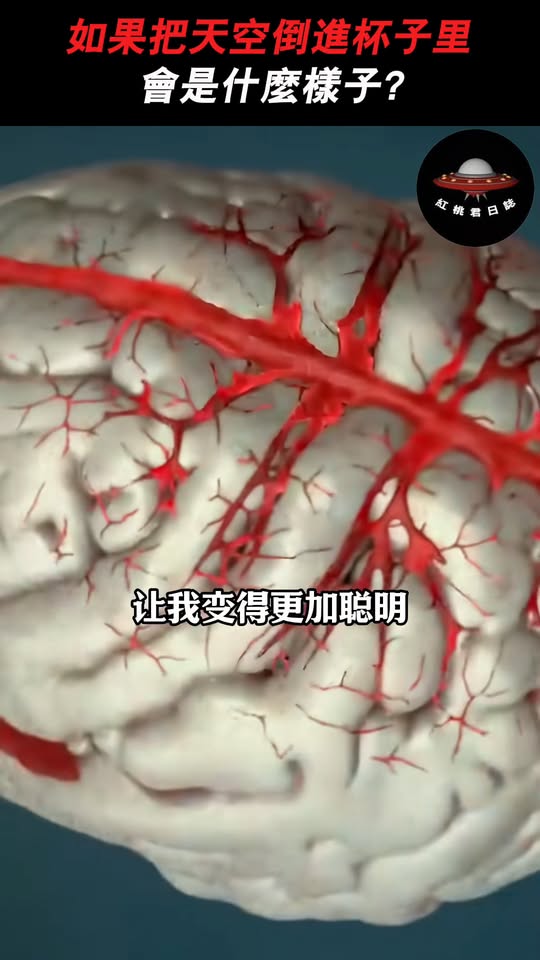 神經系統擬人化揭密：用進廢退的物理真相