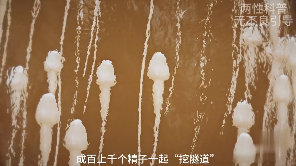 女生其實感覺不到體內射精的生理真相