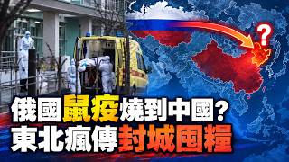 俄羅斯實驗室試管破裂疑雲與東北囤藥潮的疫情警訊