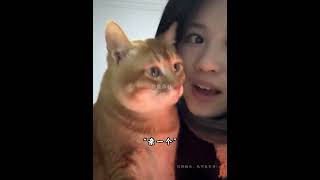 狗聽懂人話還會討價還價,跟主人鬥嘴報價超爆笑
