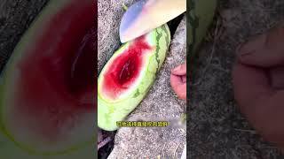 石縫畸形西瓜比田裡更甜,男子現場挖肉裝碗