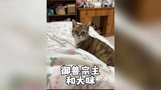 田園小姥姥指揮貓狗雞魚的日常,鯉魚聽話游回深水區