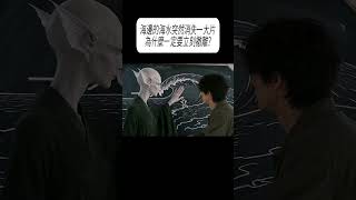 海嘯機制與保命判斷:從海水突退到老石碑的防災啟示