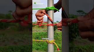 拓樸學拆解六種繩結,從封袋到逃生一次學會