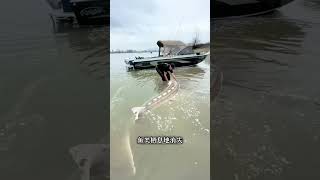 長江非法採砂廢棄油罐車為何不能賣的來龍去脈