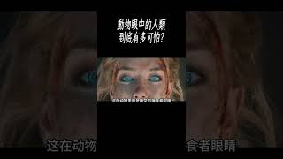 動物第一視角拆解人類直立行走與投擲能力為何讓動物畏懼